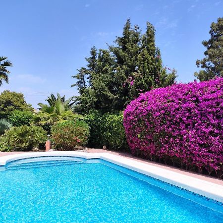 Villa With Private Pool, Bbq, Fitness Center & Sauna San Vicente Raspeig Bagian luar foto
