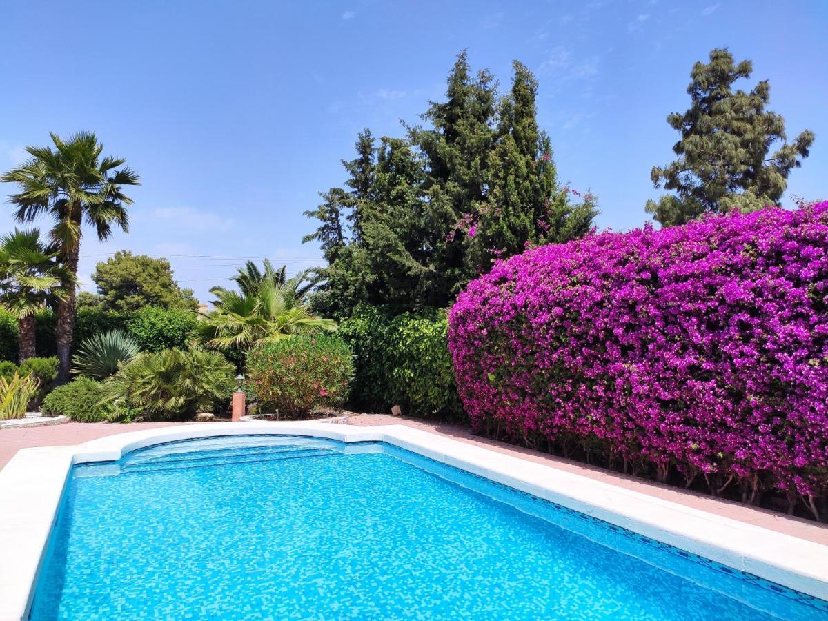 Villa With Private Pool, Bbq, Fitness Center & Sauna San Vicente Raspeig Bagian luar foto