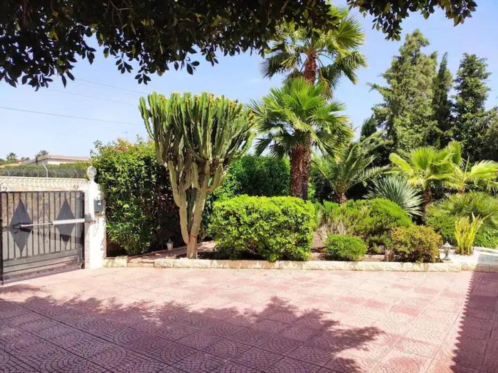 Villa With Private Pool, Bbq, Fitness Center & Sauna San Vicente Raspeig Bagian luar foto